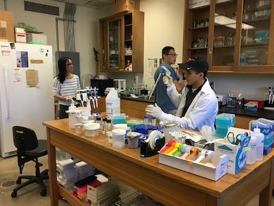 Students in BFL lab