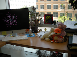 stuffed animals on desk