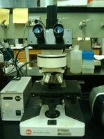 photo of electron microscope