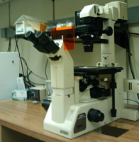 photo of nikon microscope