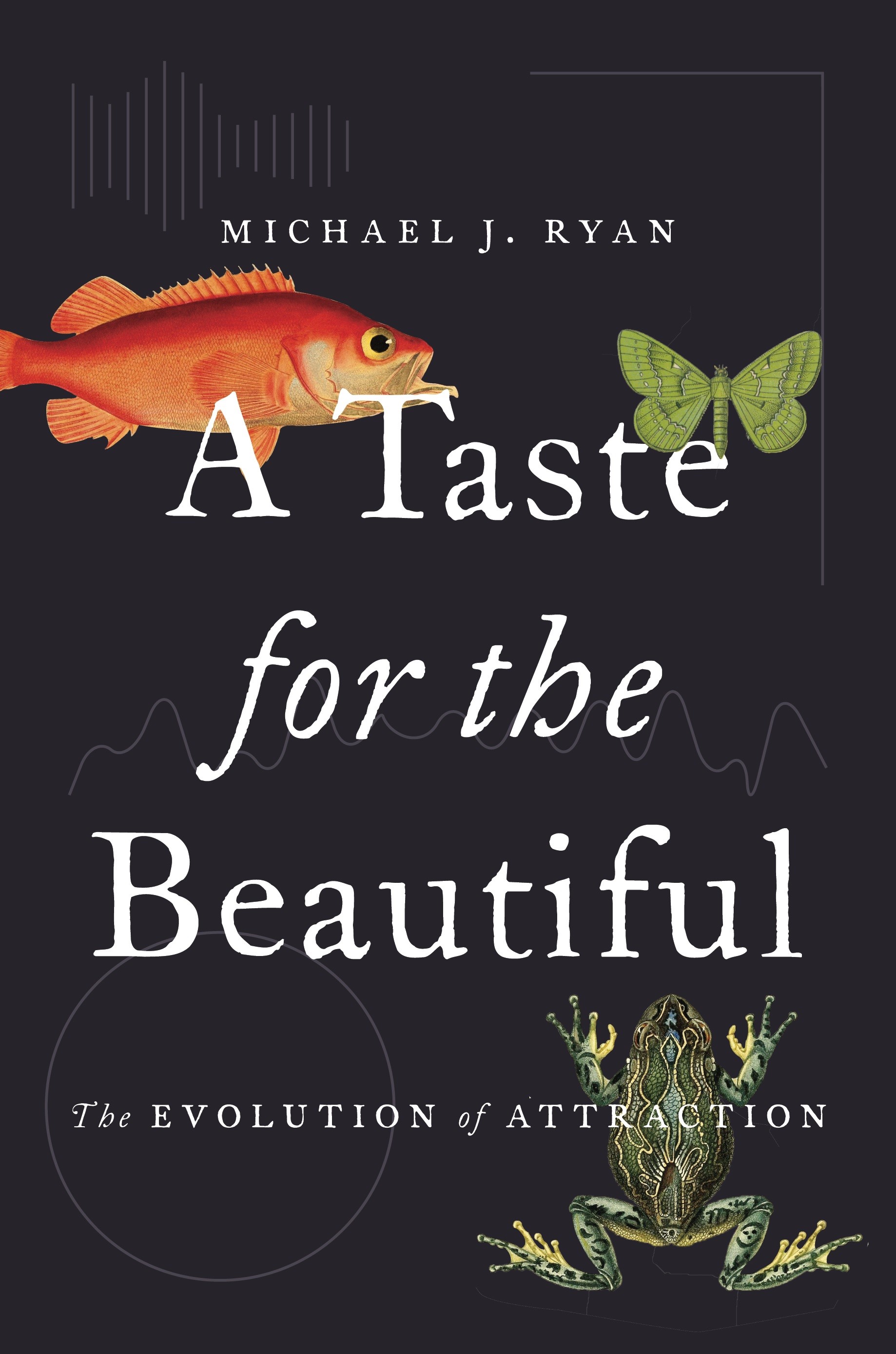 A Taste for the Beautiful - book cover 