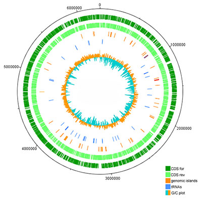 Genome Sequencing