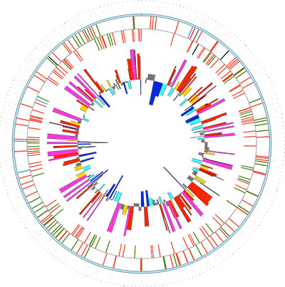 RNA-Seq