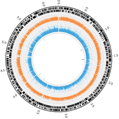 Transposon sequencing (Tn-Seq)